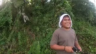 Monster bite snakehead fish - year end fight - flood prone fishing spot #snakeheadhunting