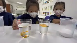 Color Diffusion Experiment G1 Faithful Class