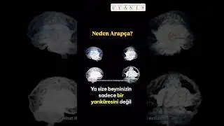 Neden Arap&ccedil;a? #DenizErten #dersleri #arap&ccedil;a #beyin #işaret #uyanış #islam #kuran