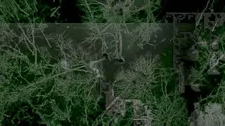 Laval - Forest Murder
