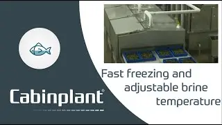 Cabinplant Brine Freezing