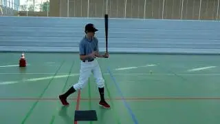 David hitting 2011