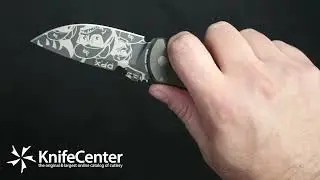 DPx Gear HEST/F 3.0 Mr. DP DECADE Folding Knife
