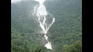 Jungles and small Rivulets   Passing Bhagwan Mahavir Wildlife Sanctuary