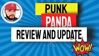📹 PunkPanda Review | How to Make Money from an App 2022
