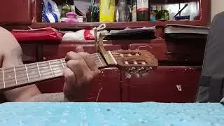 Nostalgias campesinas chacarera cover D.D 