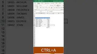 How to enable bottom double border in Excel? #excel #excelformatting #leilagharani