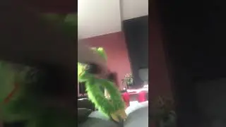 Grumpy Huggy Wuggy Is Good At Dodging