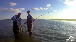 The Popping Method for Catfish at Bloemhof