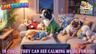 Cartoon for Dogs 2026, in Colors They Can See 🐶 Good For Home Alone Dogs 💤 Music For Dogs to Sleep