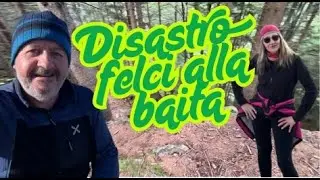 WILD NATURE - Ritrovata un'antica traccia nel bosco - Controllo baita prima dell'inverno