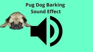Pug Dog Barking Sound Effect