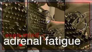 even mind - adrenal fatigue Moog DFAM, Subharmonicon, Mother 32, enojy electronics The GodFather