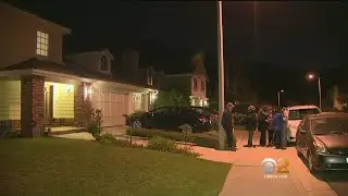 CBS2 News At 11 p.m. (Nov. 12)