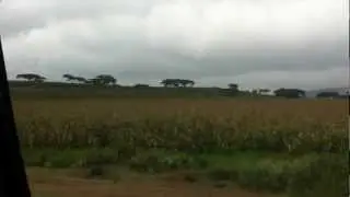 Roadside Scenes