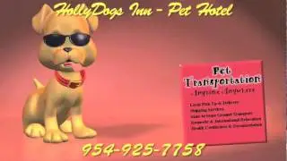 HOLLYDOGS INN DOG KENNELS BOARDING HOLLYWOOD FLORIDA 33020