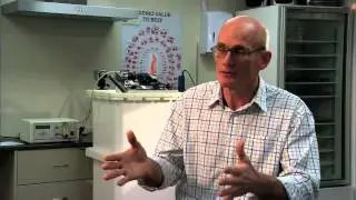 Clyde Daley   Automation