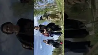 Это наши 4 курса, спасибо за всё, с любовью #art #artcollege #aestheic