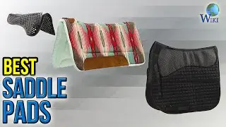 7 Best Saddle Pads 2017