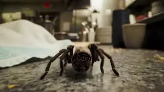 CID AI Spider | A Tiny Explorer in a Giant World  #SpidersJourney #NatureCloseUp #MacroAdventure