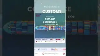 Master Customs Compliance with Zion Shipping: Ensure Happy Customers and On-Time Deliveries!