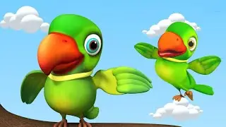 मैं तोता मैं तोता | Main tota | Hindi Rhyme For Children | Hindi Rhymes For Kids &lrm;⁨| Parrot cartoon 