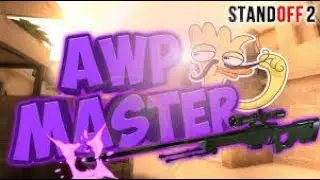 AWP bro 💀