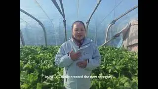 What is granular water soluble fertilizer? Cocoly, 1st granular water soluble fertilizer