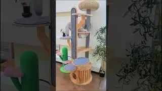 Desert Continent Solid Wood Cat Climbing Tree🌟 #bestpetsupplies #catfurniture #cat