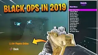 Here is Black Ops 1 in 2019..
