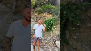 Pianta del Cappero: tutto quello che devi sapere