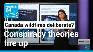These satellite images do not prove that Canadian wildfires were caused deliberately &bull; FRANCE 24