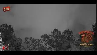 Live Busy Travel Night Plane and Sky Watching over Florida