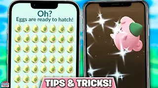 Master Cleffa Hatch Day: Double Candy & Stardust Secrets in Pok&eacute;mon GO!
