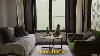 Al Sala Bo x The Mastah - PIANO BARKS (Shot by Alta Secuencia)