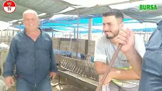 Geçit Kurban Pazarı Bursa 2024 Son 3 Gün Part 1/ OAÇ TV/#kurban #kurbanlıksatışı #kurbanlıkfiyatları