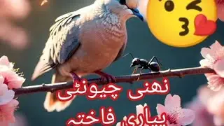 Ant and dove,kahani,chunti or fakhta,story,do good and have good,#kr bhala so ho bhala,@Kids channel