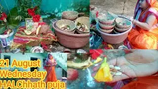 HALSashti Vrat Puja, Halchat ki Pooja vidhi, halchadhi ki Pooja kaise ki Maine, Indian mom halchadhi