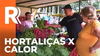 Como o calor extremo afeta a produ&ccedil;&atilde;o de hortali&ccedil;as e a agricultura