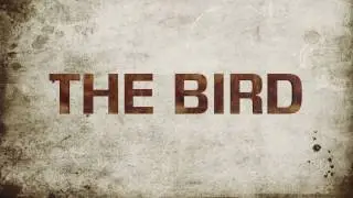 The Bird