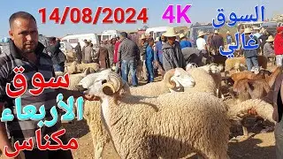 أثمنة الغنم والبقر واللحوم والسمك والخضر سوق الأربعاء صوريا مكناس اليوم 14/08/2024