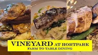 NEW 2024! Farm to Table Dining - Vineyard at HortPark Modern European Fine Dining #farmtotable  #sg