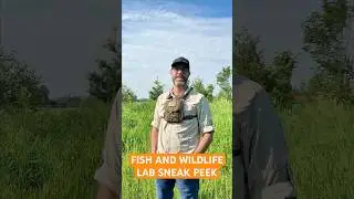 Fish and Wildlife Technician Lab with Dr. Keith Munro