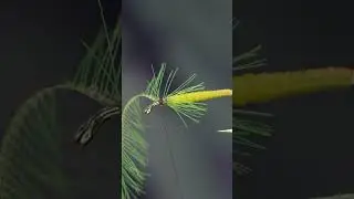 Мокряк на будущий верховой настрой 😋 #flytying #flytyingjunkie #рыбалка #flytyingturtorial