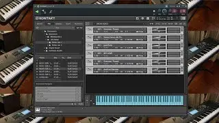 son Solo kontakt player parti 1
