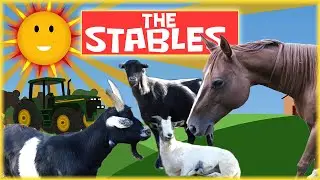 Kids Horse Adventure | Kids Horseback Riding at the Stables
