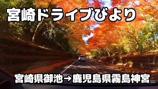 【宮崎ドライブ】紅葉のトンネルは圧巻です　霧島連山の麓にある御池から霧島神宮へ　車載動画　自動車と乗り物　ドライブレコーダー