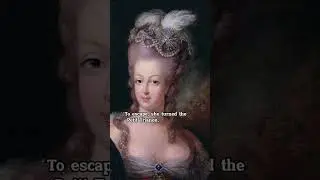 Marie Antoinette hated the strict, formal court life. #history #art