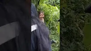 #airterjun #desagalunganSawan #bali #singaraja #singarajabali 