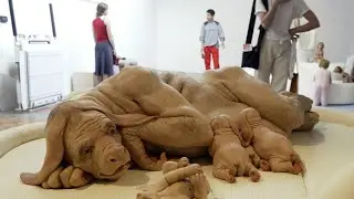 10 Hybrid Animals Created By Scientists You Won't Believe Exist‼️